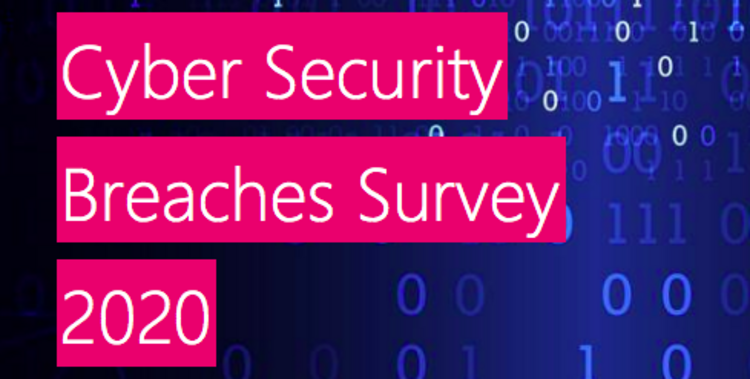 Cyber Breaches Survey 